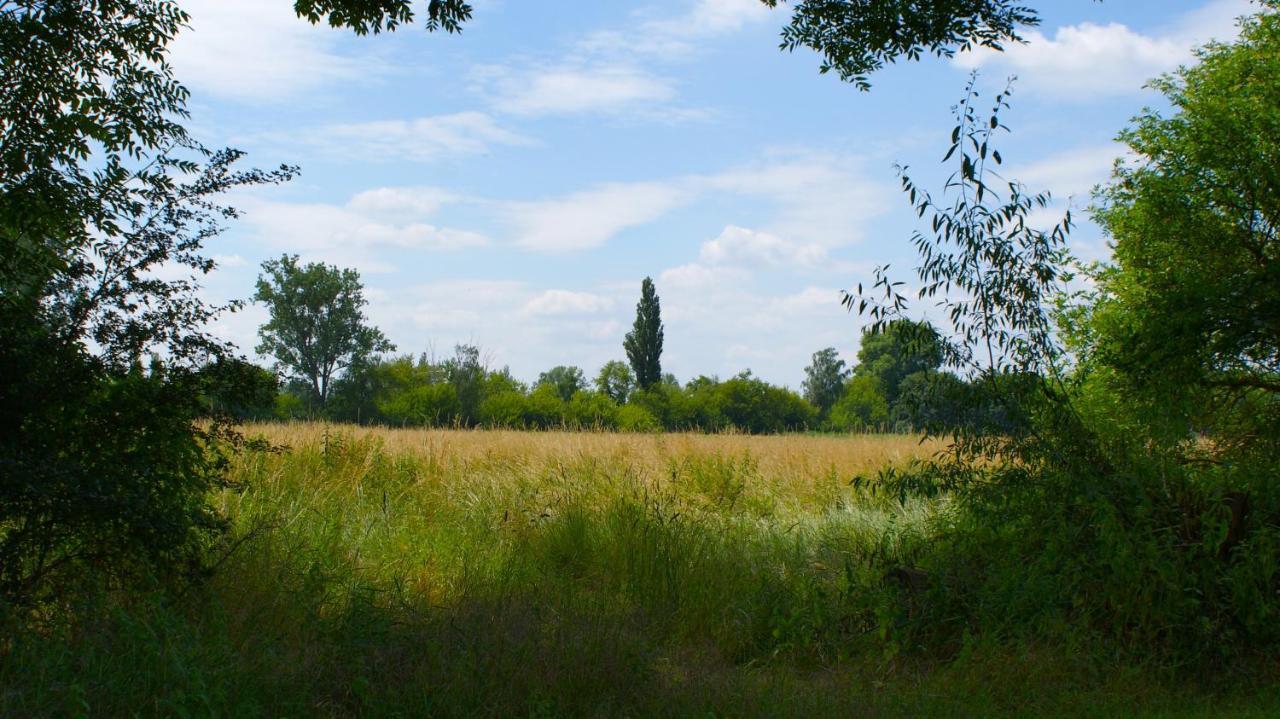 Ferienwohnung Fuchsberge Letschin Luaran gambar