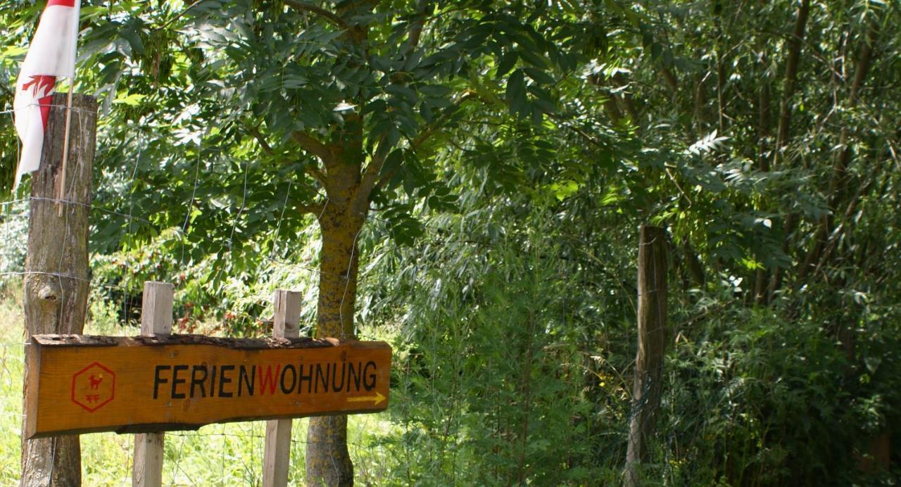 Ferienwohnung Fuchsberge Letschin Luaran gambar